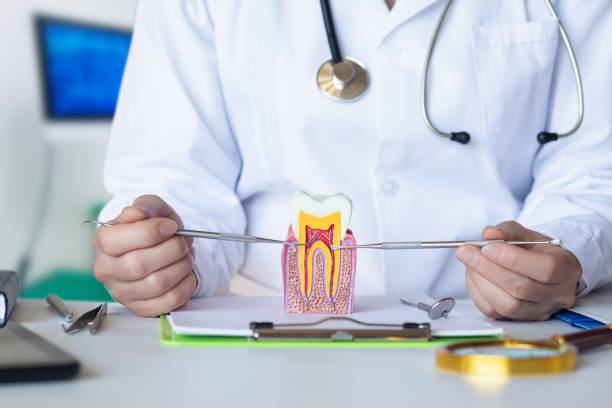 Best Broken Tooth Emergency  in Orangetree, FL